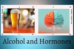 alcohol and hormones
