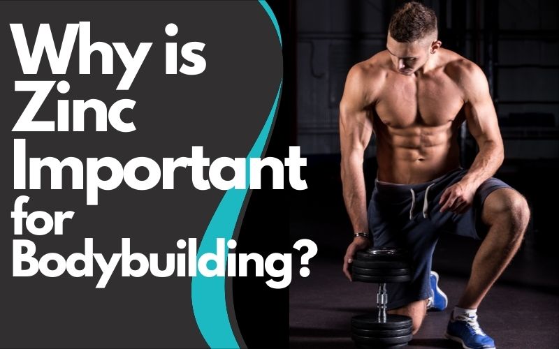 Why Zinc is Important for Bodybuilding