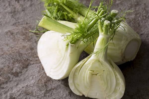 Fennel