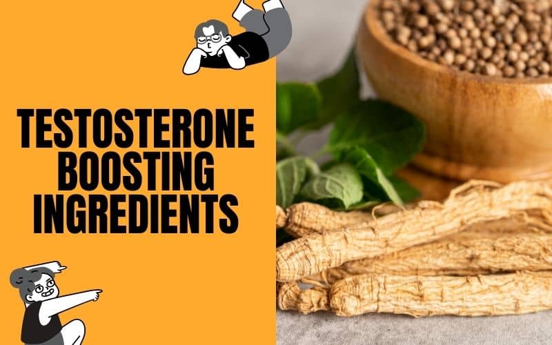 Testosterone Boosting Ingredients