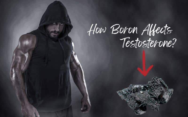 How Boron Boost Testosterone