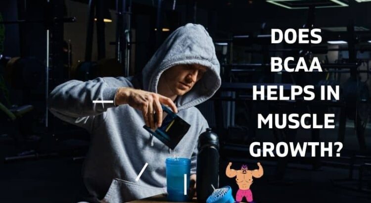 BCAA for Muscle Growth – How It Helps in Gaining Muscle?