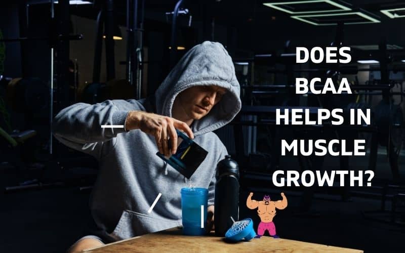 BCAA for Muscle Growth – How It Helps in Gaining Muscle?