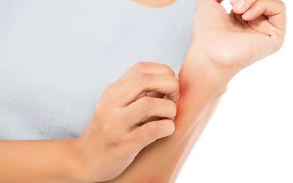 Ginseng Tea side effects