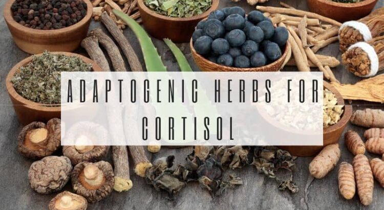 adaptogenic herbs for cortisol