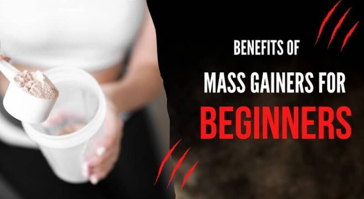 Does Mass Gainer Help You Build Muscle